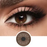 Diva Monthly Color Contact Lenses – Lamir