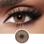 Diva Monthly Color Contact Lenses – Toffee