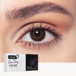 Daily Contact Lenses - Cedar