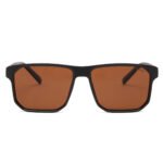 Dessi 8516/C5 Sunglasses