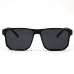 Dessi 8516/C4 Sunglasses