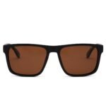 Dessi 8348/C5 Sunglasses