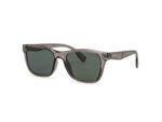 Dessi T615/transparent gray Sunglasses - Image 2
