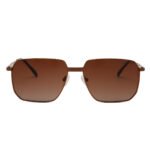 Dessi 92022/C5 Sunglasses