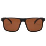 Dessi 8513/C5 Sunglasses